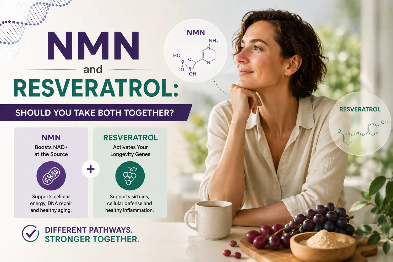 NMN and Resveratrol: Should You Take Both Together?