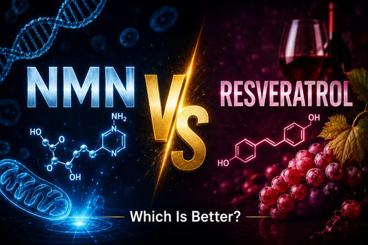NMN vs Resveratrol: What’s the Difference and Which Is Better?