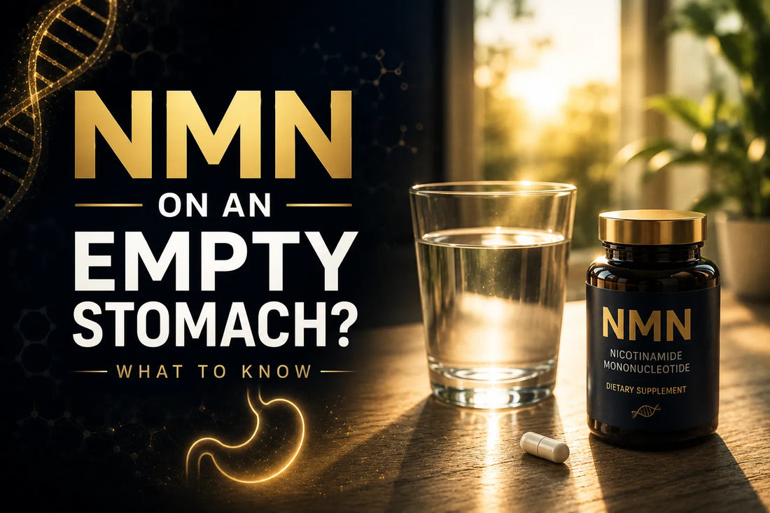Can You Take NMN on an Empty Stomach? What to Know