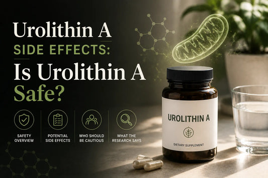 Urolithin A Side Effects: Is Urolithin A Safe?