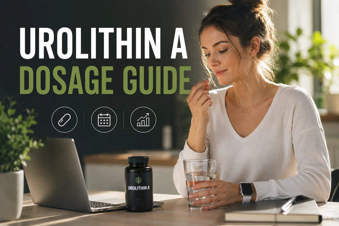 Urolithin A Dosage Guide: How Much Urolithin A Should You Take?