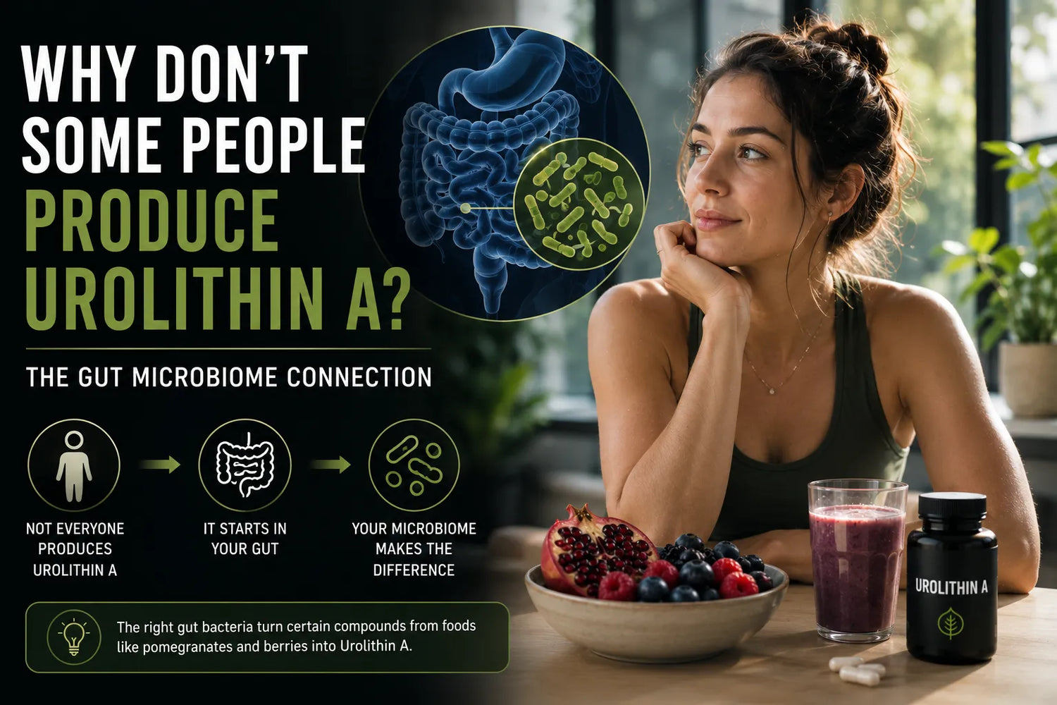 Why Don’t Some People Produce Urolithin A? The Gut Microbiome Connection