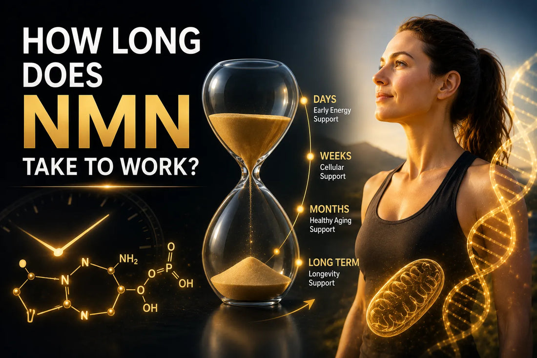 How Long Does NMN Take to Work? What to Expect From NMN Supplementation