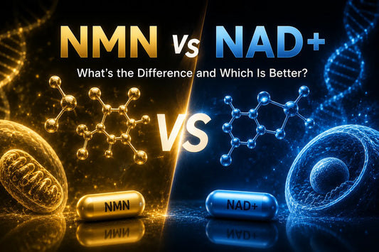 NMN vs NAD+: What’s the Difference?