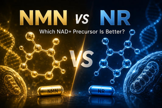 NMN vs NR: Which NAD+ Precursor Is Better?