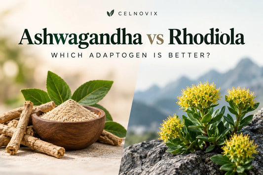 Ashwagandha vs Rhodiola: Which Adaptogen Is Better?