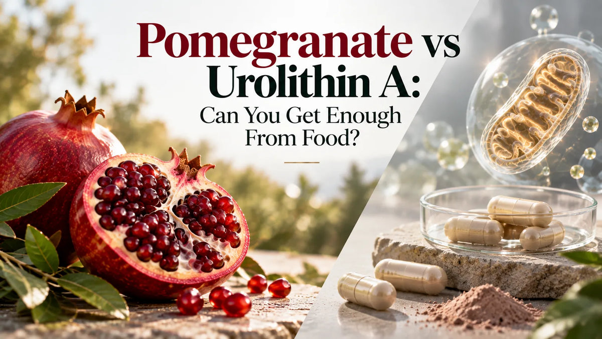 Pomegranate vs Urolithin A: Can You Get Enough From Food?