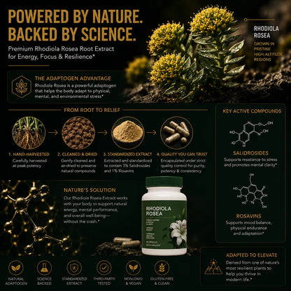 Rhodiola Rosea root extract featuring standardized salidrosides and rosavins for stress resilience, focus and energy support