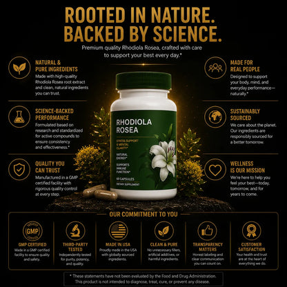 Rhodiola Rosea root extract featuring standardized salidrosides and rosavins for stress resilience, focus and energy support